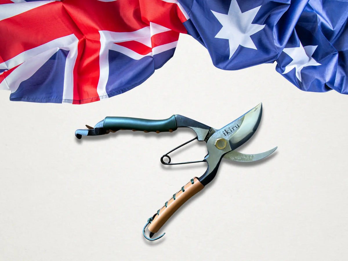 Japanese Tool Care for Australian Conditions