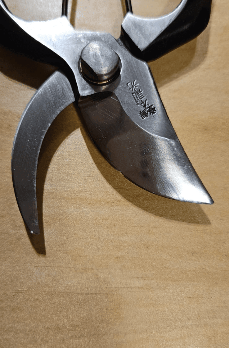 Hon Norimitsu 200mm Pruning Shears Type B - East-West Tools