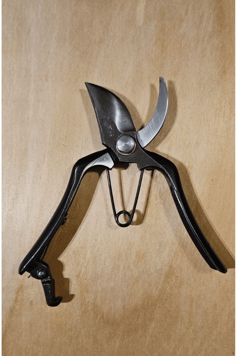 Hon Norimitsu 200mm Pruning Shears Type B - East-West Tools