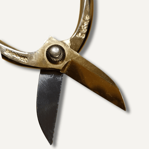 Toyama Hamono Gold Ikebana and bonsai Scissors East-West Tools