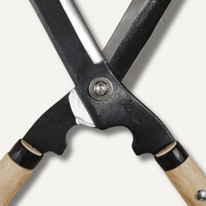 Gardening shears with black metal handles and wooden handles on a white background