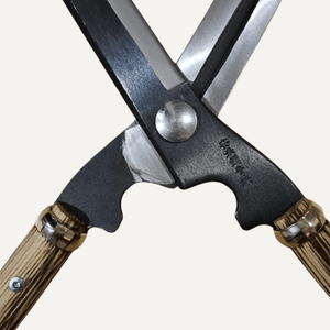 Close-up of a pair of shears with wooden handles on a white background