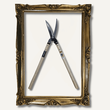 'Yoshioka' single edge Bypass Shears 170mm East-West Tools