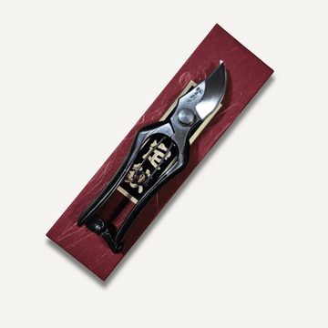 Hon Norimitsu 150mm Mini Type B East-West Tools
