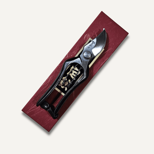 Hon Norimitsu 150mm Mini Type B East-West Tools