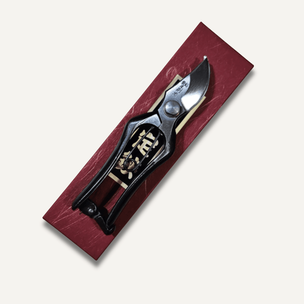 Hon Norimitsu 150mm Mini Type B