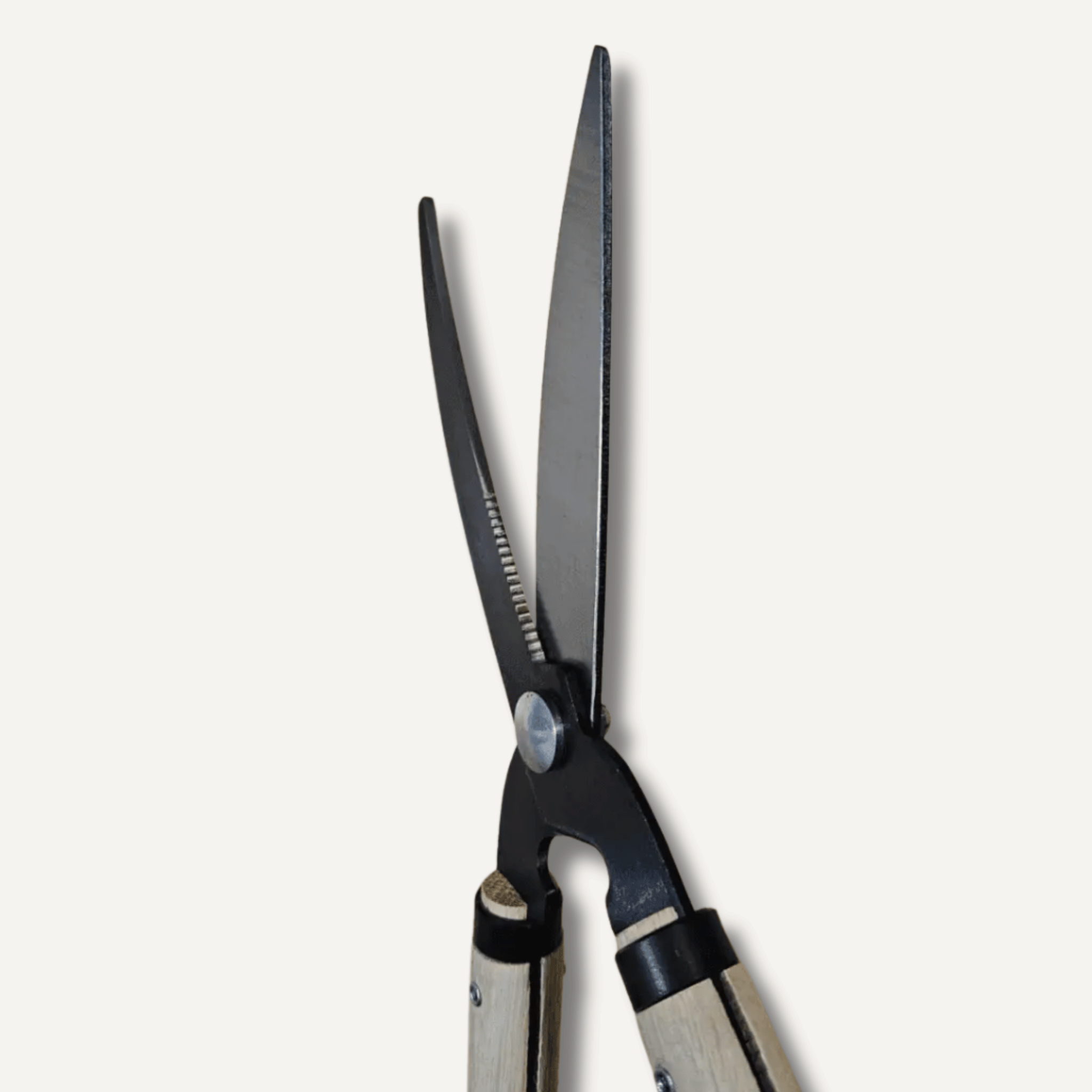 'Yoshioka' single edge Bypass Shears 170mm East-West Tools