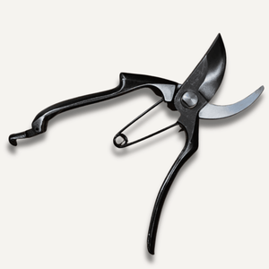 Hon Norimitsu Type A Secateurs East-West Tools