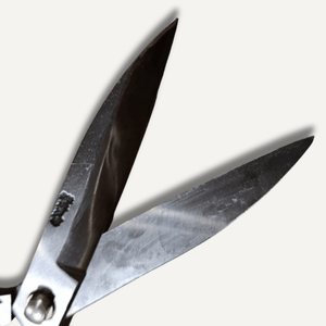 Toyama Hamono  Shears East-West Tools