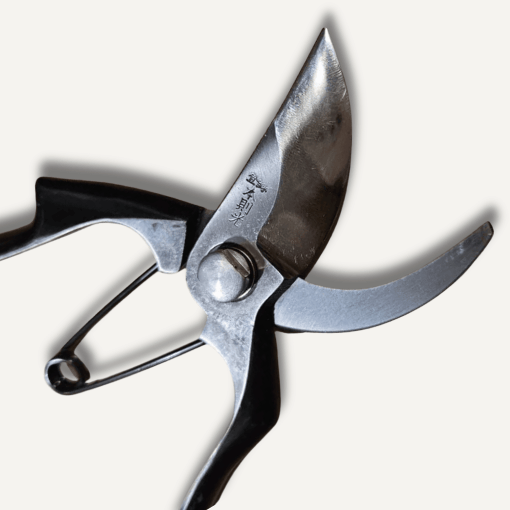 Pair of pruning shears on a white background