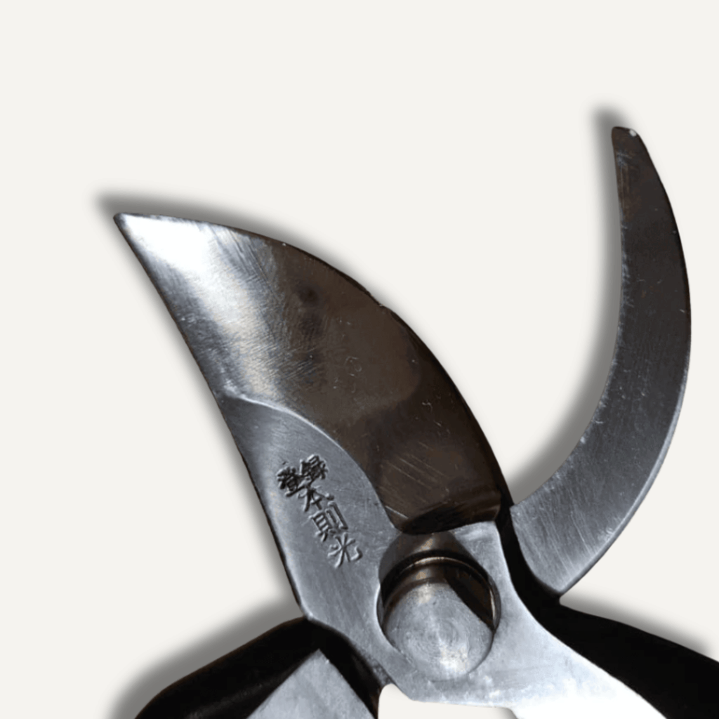 Hon Norimitsu 200mm Pruning Shears Type B East-West Tools
