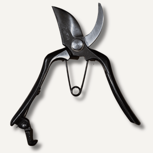 Hon Norimitsu 200mm Pruning Shears Type B East-West Tools