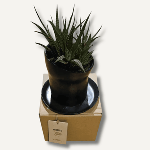 Millio Forged Iron Flower Pot (Pot & Tray) East-West Tools