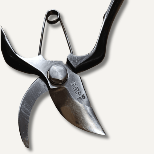 Japanese Secateurs 150mm Mini Type B East-West Tools