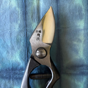 Close-up of Tobisho pruning shears tip and joint, highlighting precision edge and steel surface