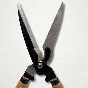Front view of Japanese hedge shears with long wooden handles, black forged head and open polished blades