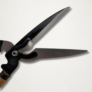 Close side view of Japanese hedge shears showing polished blades, black forged frame and pivot hardware