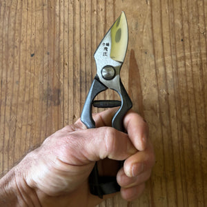 Hand holding Tobisho pruning shears, demonstrating grip, scale, and ergonomic black handles