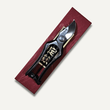 Hon Norimitsu Type B 150mm closed on red box