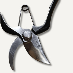 Hon norimitsu type b shears open close up showing blade detail