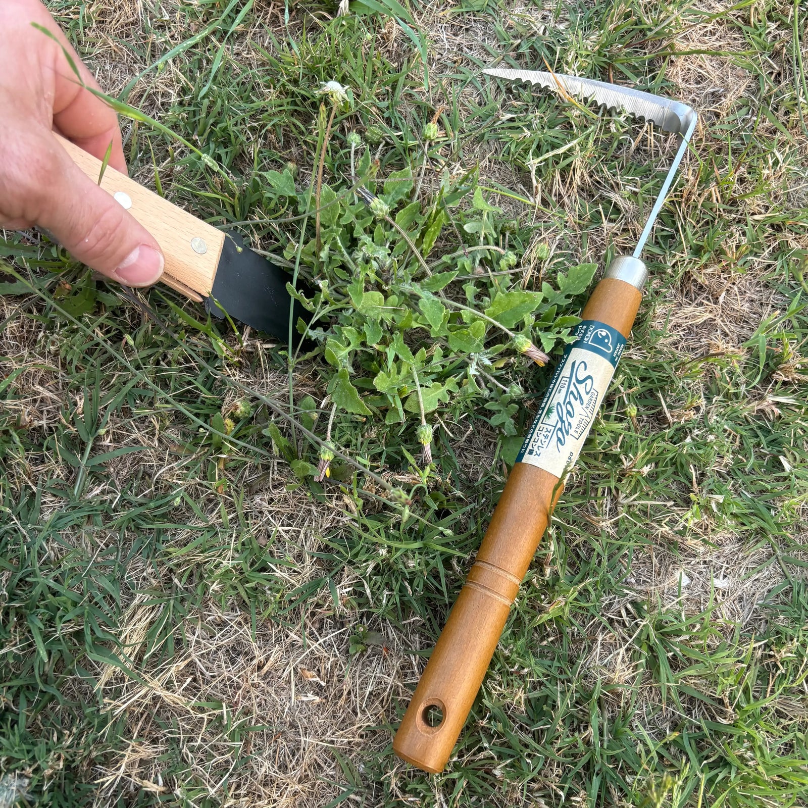 A gardener using the hori hori weeding tool alongside other Japanese digging and weeding tools in a Perth suburban garden 