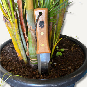 Stainless steel bonsai hori hori in plant pot