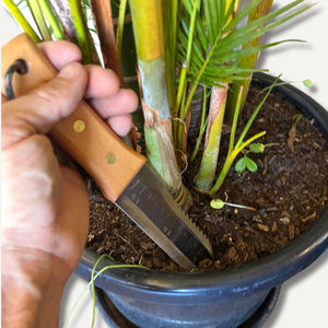 Bonsai stainless steel hori hori held in hand 