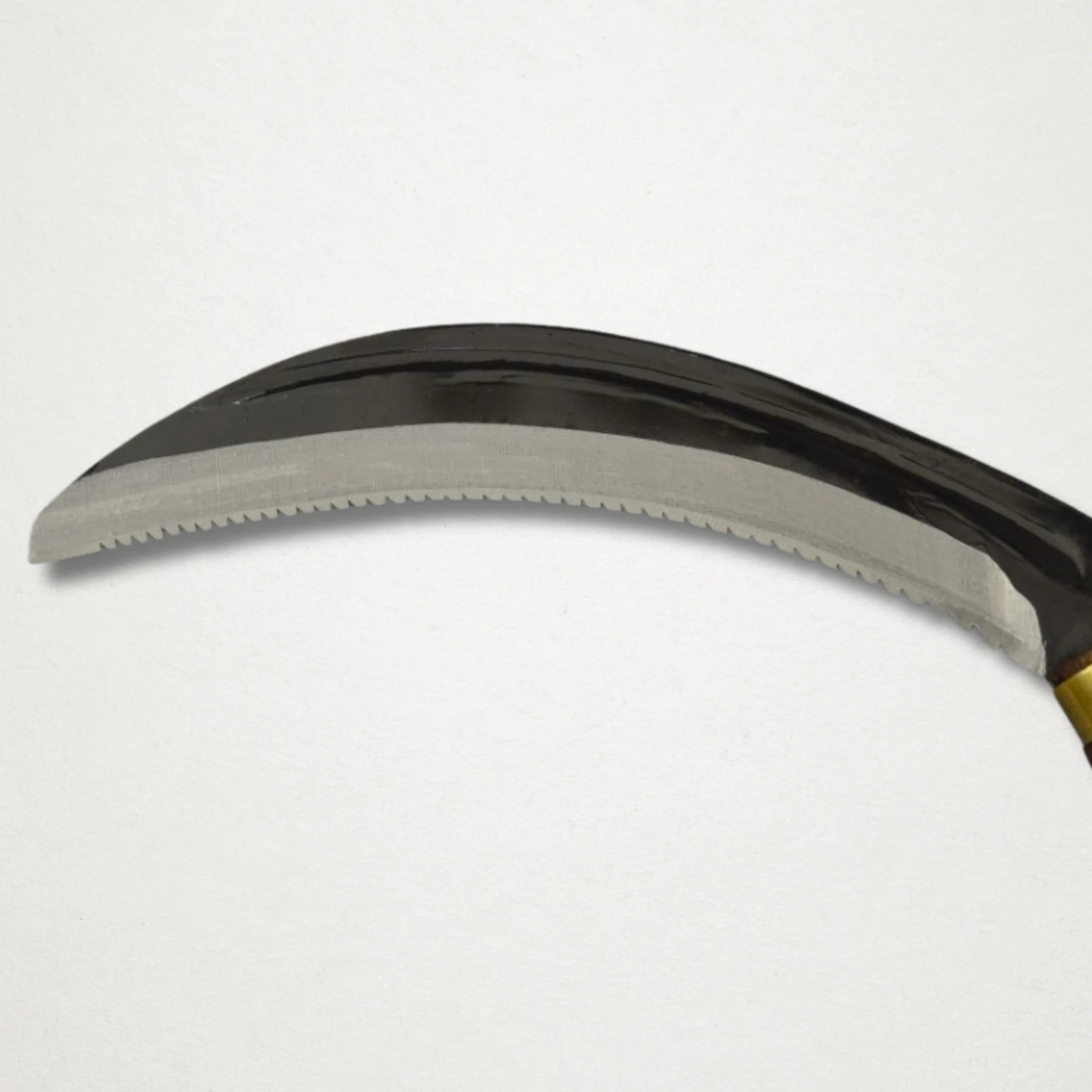 Takemoto Sakle double-sided serrated harvest sickle on white background